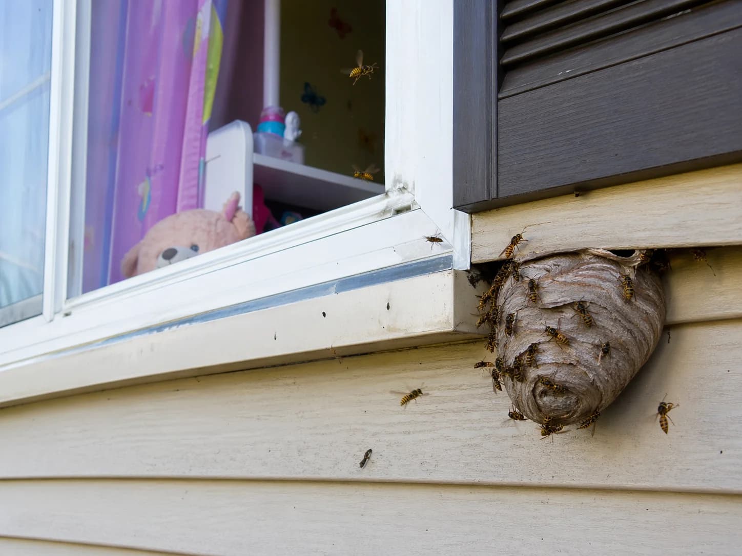 Insekten­bekämpfung
